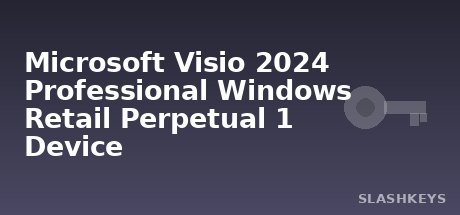 Microsoft Visio 2024 Professional Windows Retail Perpetual 1 Device