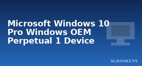Microsoft Windows 10 Pro Windows OEM Perpetual 1 Device
