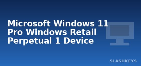 Microsoft Windows 11 Pro Windows Retail Perpetual 1 Device