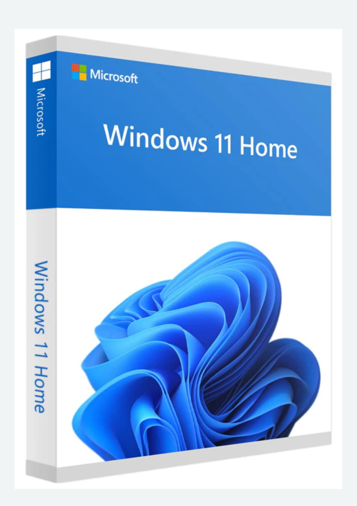 Windows 11 Home OEM Key