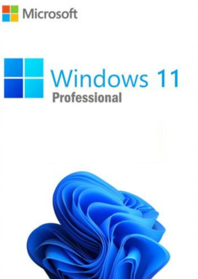 Windows 11 Pro OEM Key